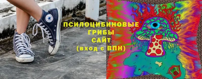 Псилоцибиновые грибы Magic Shrooms  где можно купить наркотик  Бикин 